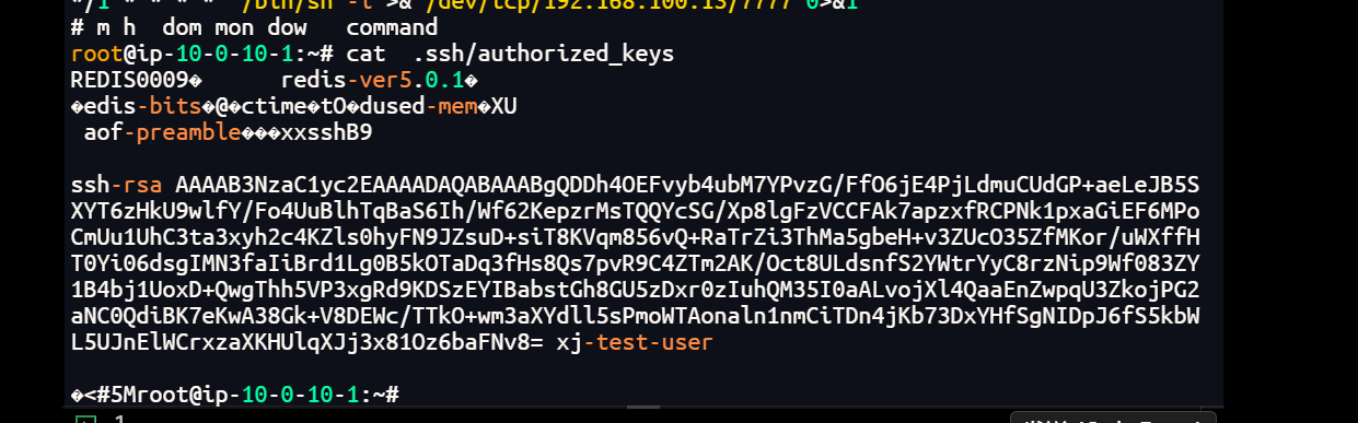 image-20251006173834197