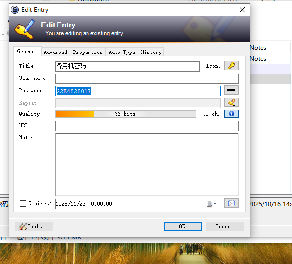 image-20251123110342873